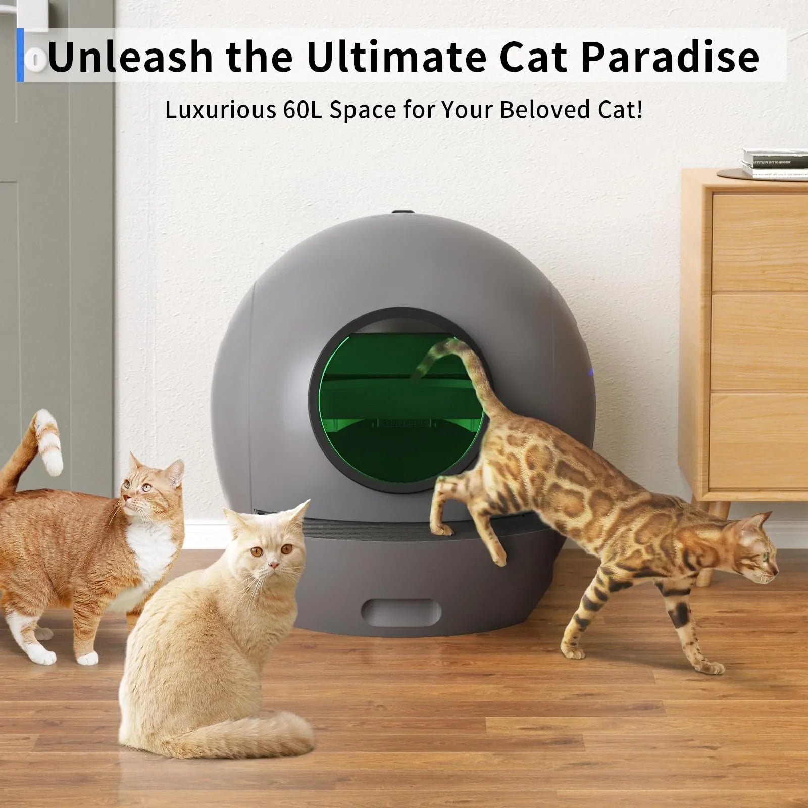 APP PET Cat Box [Upgraded Version] Control Cleaning for Automatic Cat Litter Cats Litter ELS Box Multiple Self