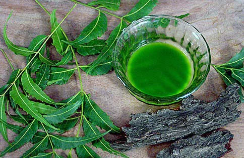 85gm Scrub Nimbarka Neem Face and 125gm Soap Neem Handmade