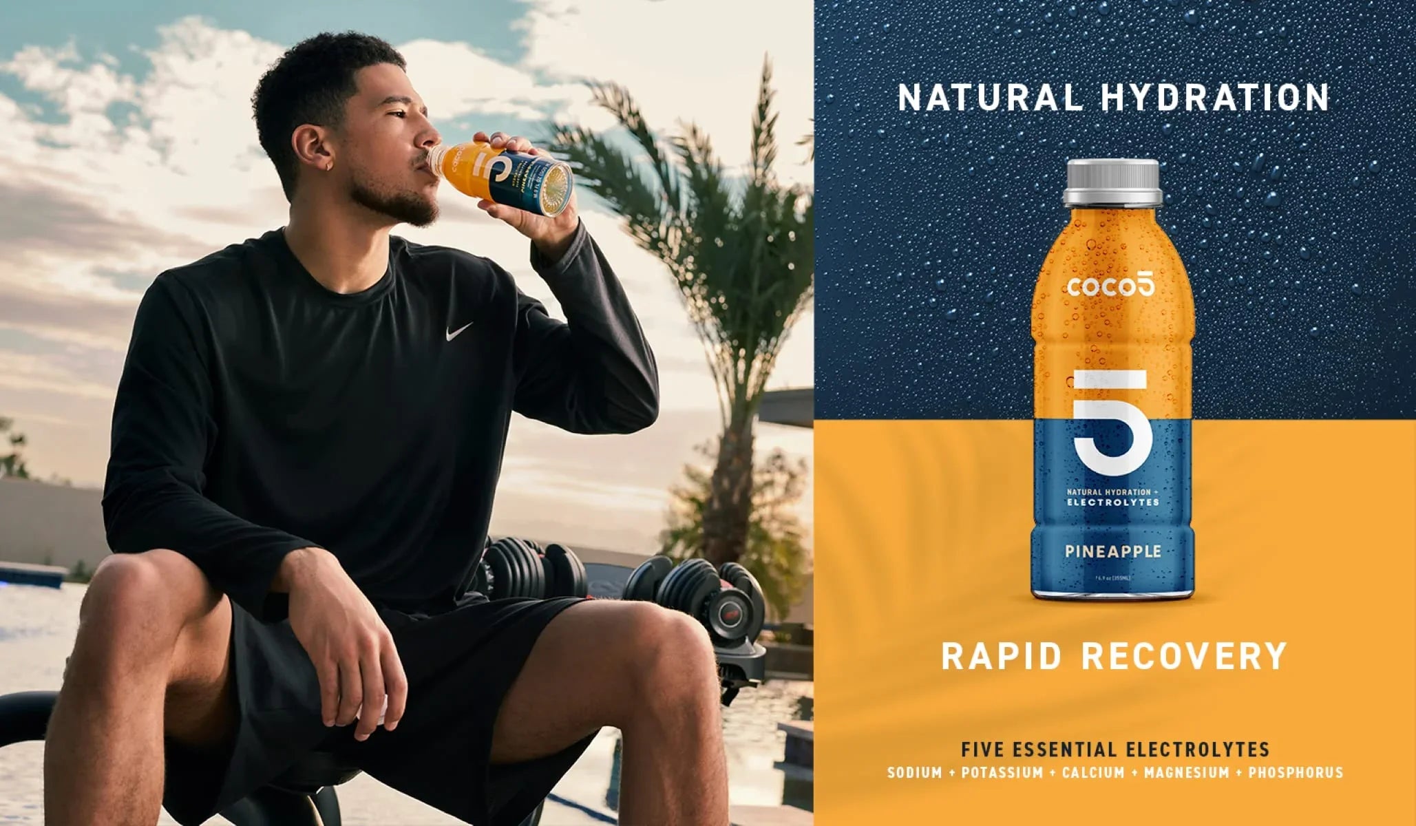 Artificial | | Athletes Nothing Gluten | | Non-GMO Natural Pineapple Developed Free Less Pro Sports 12) Clean for | (Pack 50% by COCO5 | Sugar 16.9 Pro 100% | Hydration OZ - Flavor Trainers