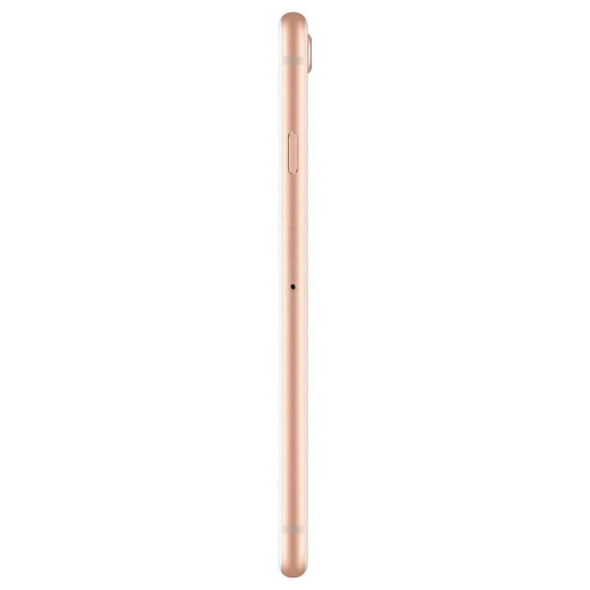 iPhone Apple Unlocked (GSM, Restored (Refurbished) Not 8 Gold 64GB CDMA),