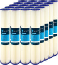 Pleated SpiroPure 30 Micron 155416-43 20x2.5 SPC-25-2030 Filter of Cartridge Sediment Polyester 20) Water SP-R30-20 R30-20 (Case