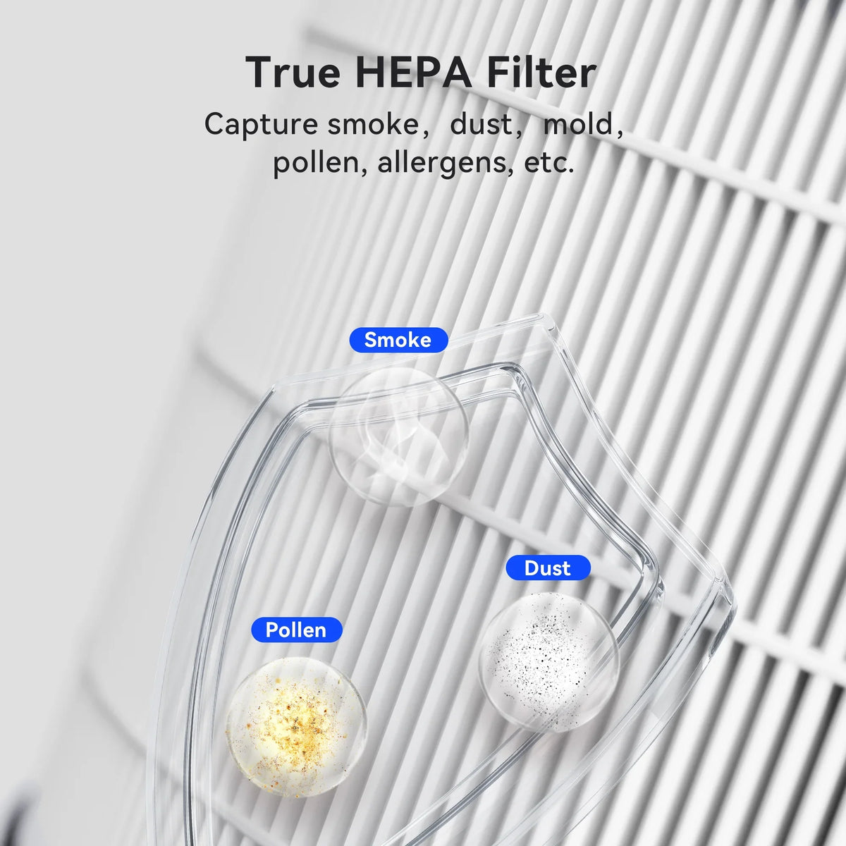 MSB5 Membrane for Pack Replacement 2 Purifier, Filter Solutions Air