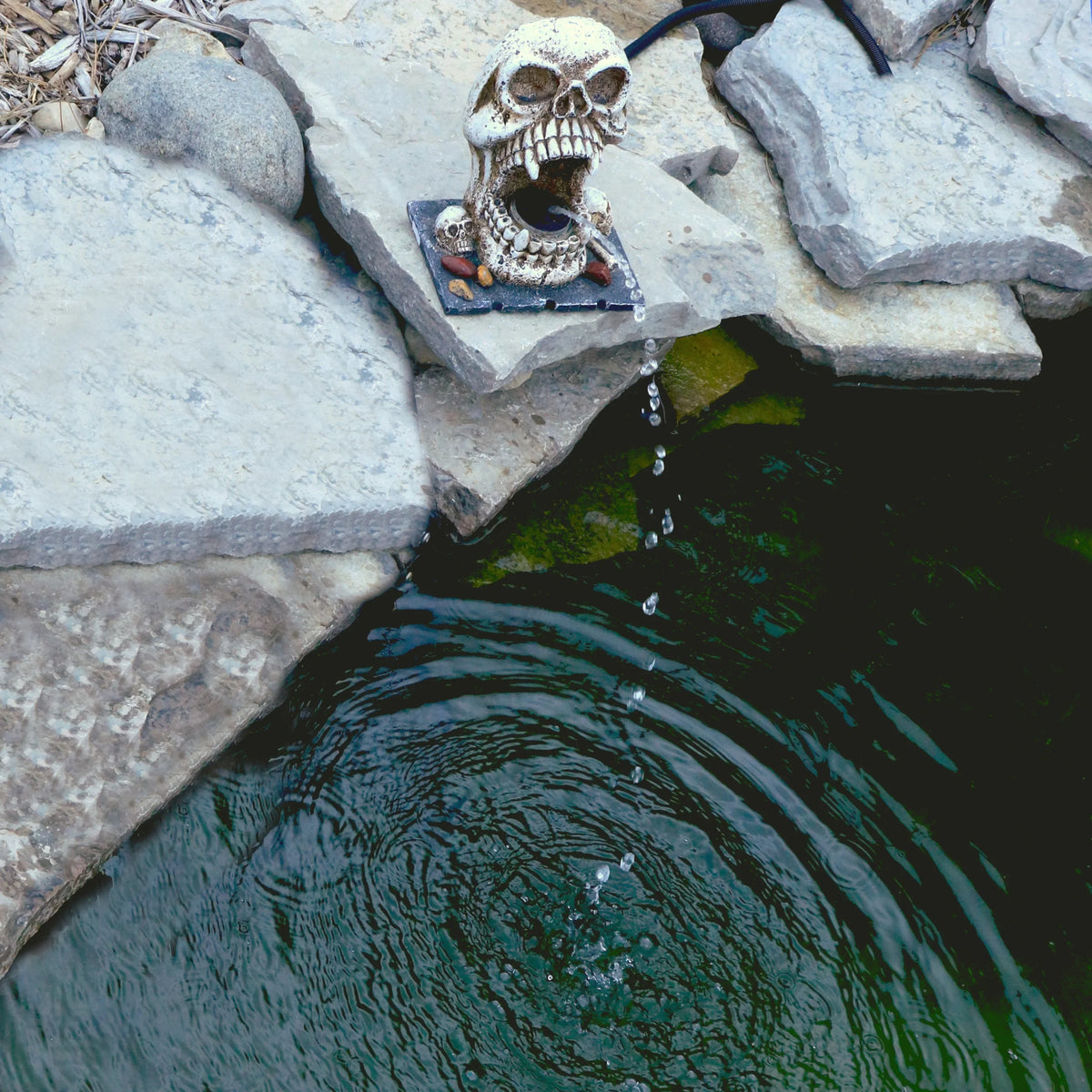 Statuary Pro Outdoor Feature Skull Fountain Water Custom Spitter Decorative