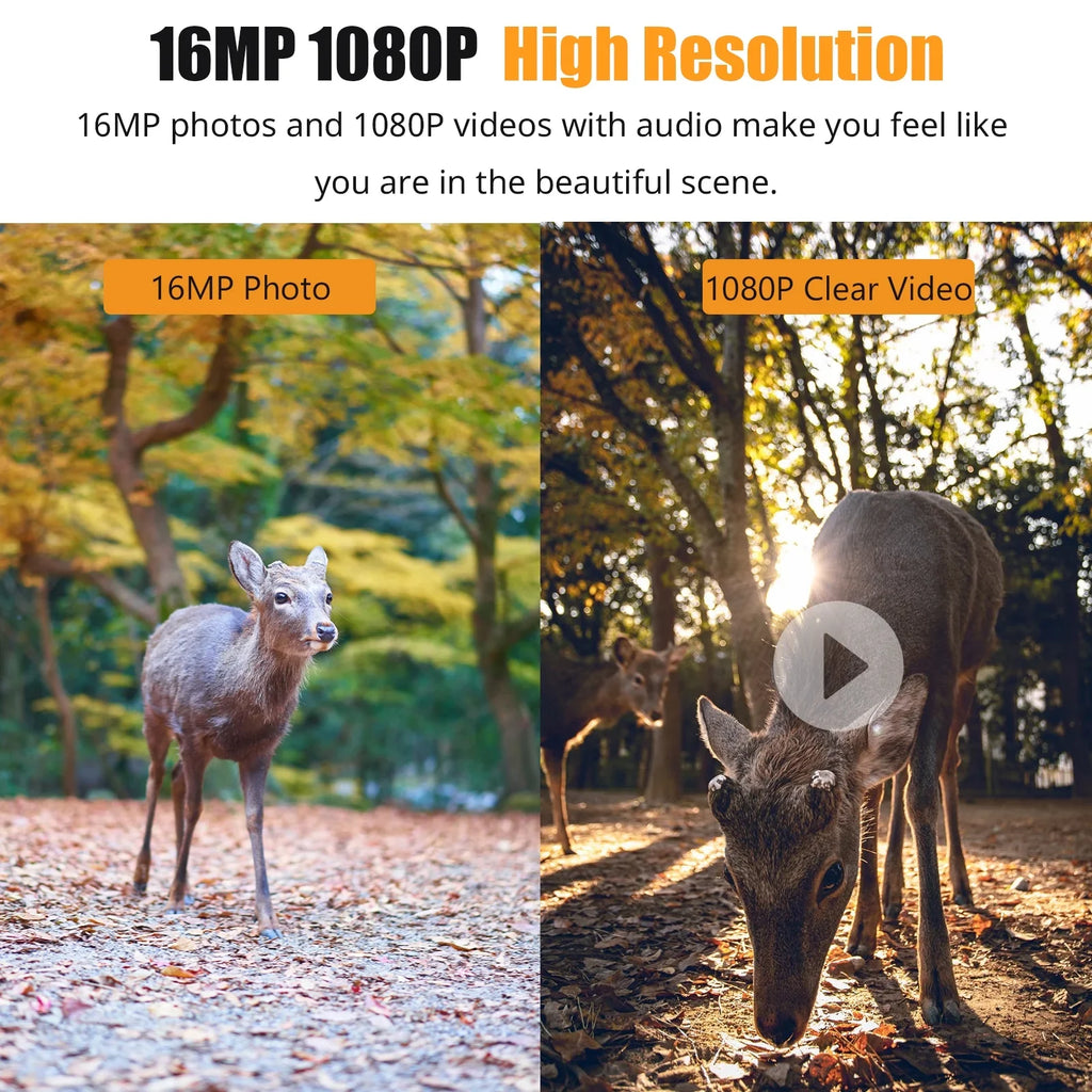 Trail Camera Display Motion and 1080P Wildlife, Waterproof, and IP66 for Vision, Home Night Color IR Use Dadypet Detection, with Game Farm, 2.4'' TFT
