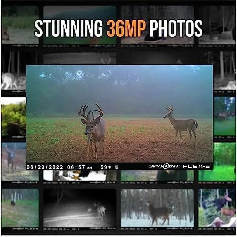 Trail Camera, Solar Connectivity, Battery Battery, SD 100-foot Micro Panel, Flex-S Flash/Detection Integrated Cellular Range, Solar Card 32GB + LTE Internal SPYPOINT Optional Backup