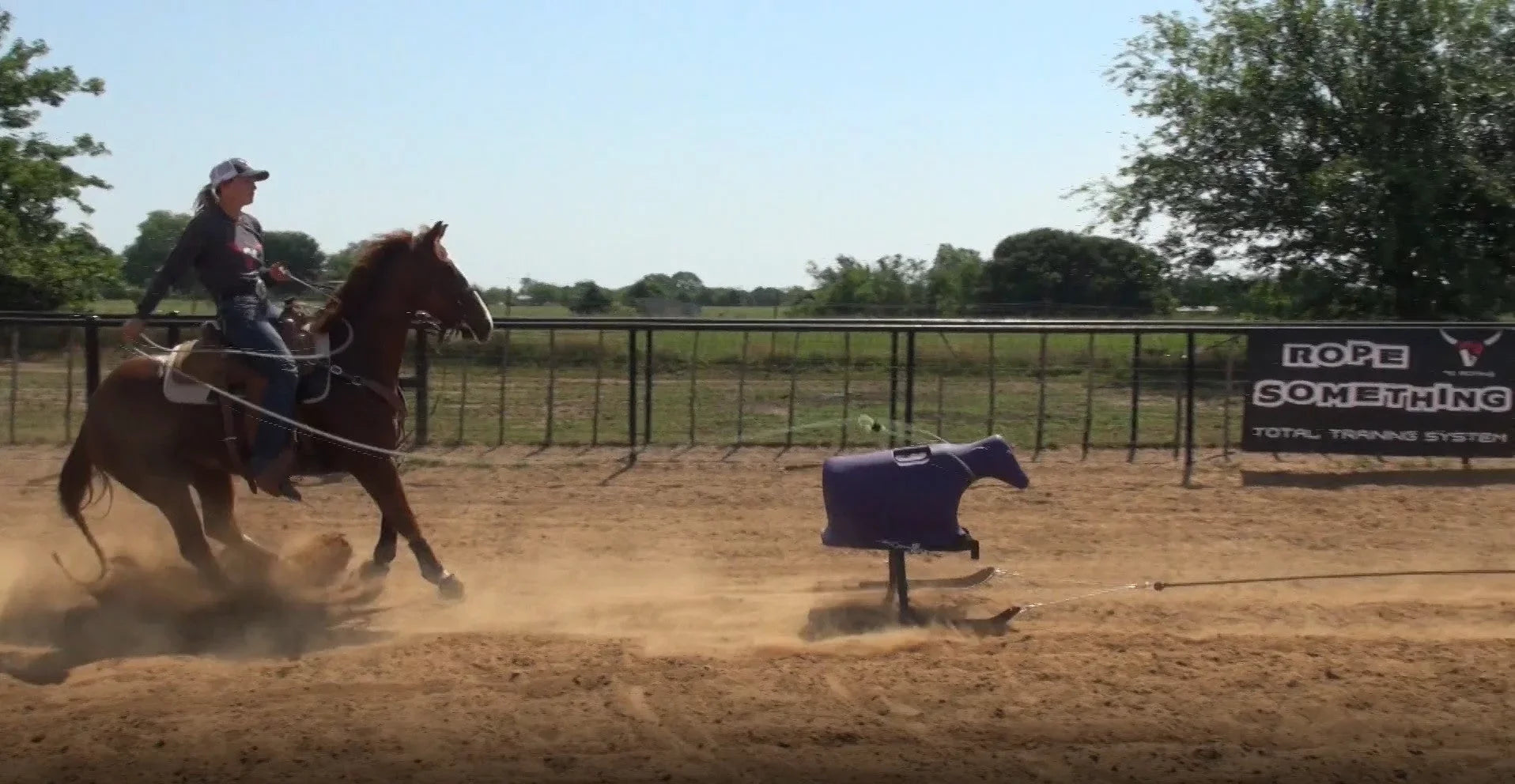 Calf Dummy without Calf 7K Sled- Something
