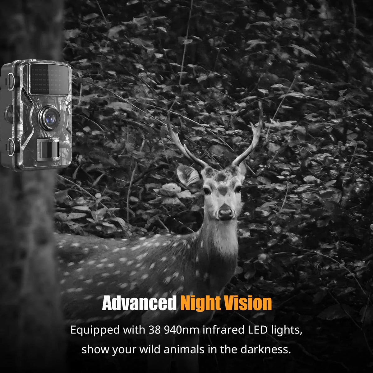 Trail Camera Display Motion and 1080P Wildlife, Waterproof, and IP66 for Vision, Home Night Color IR Use Dadypet Detection, with Game Farm, 2.4'' TFT