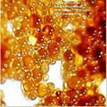 1/4 Water Softener Replacement Cuft-8000 Resin Grains Softener RV Capacity For