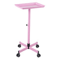 Shelf,Adjustable Wheels Tattoo Tattoo Spa Clinic Bestauty Salon Salon Wheels Cart Hair Storage Use Salon Movable Color Salon Salon Wheels Clinic Salon Beauty Pink Hair Wheels Professionals