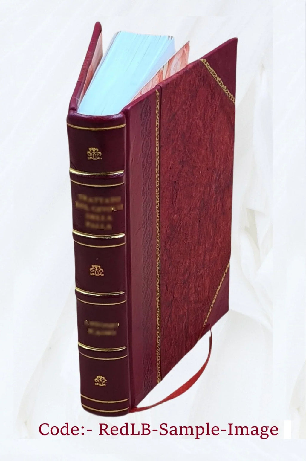 St. Bound] 1 eastern N.B. John, George compiled to by from Chatham section coast Eldridge. Eldridge's / [Leather 1880 no. pilot,