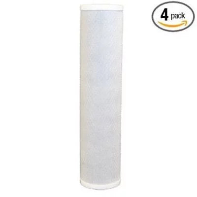 Carbon H2O Compatible by Pack Ideal 4 Filter, 10" Coconut CFS
