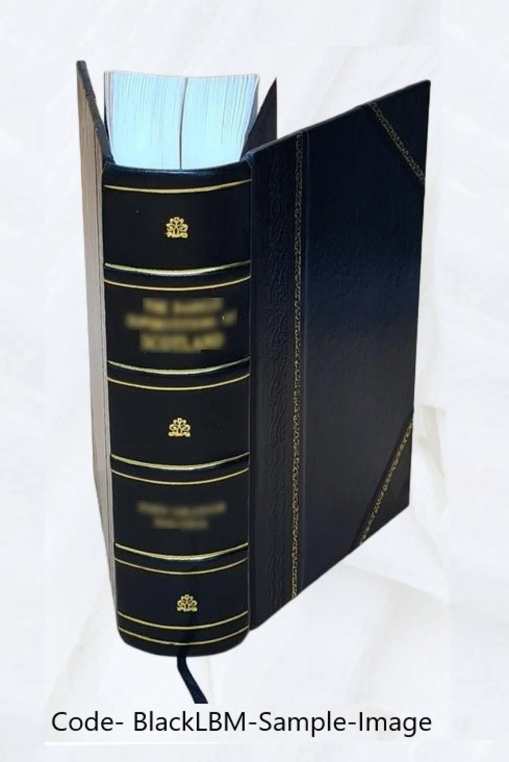 Genealogy America Family [Leather in Fairbanks of the Bound] 1897 1633-1897