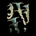 '- Magic - Enslavement Rainforest Reproduce Vinyl Jellyfish Spiritual Black