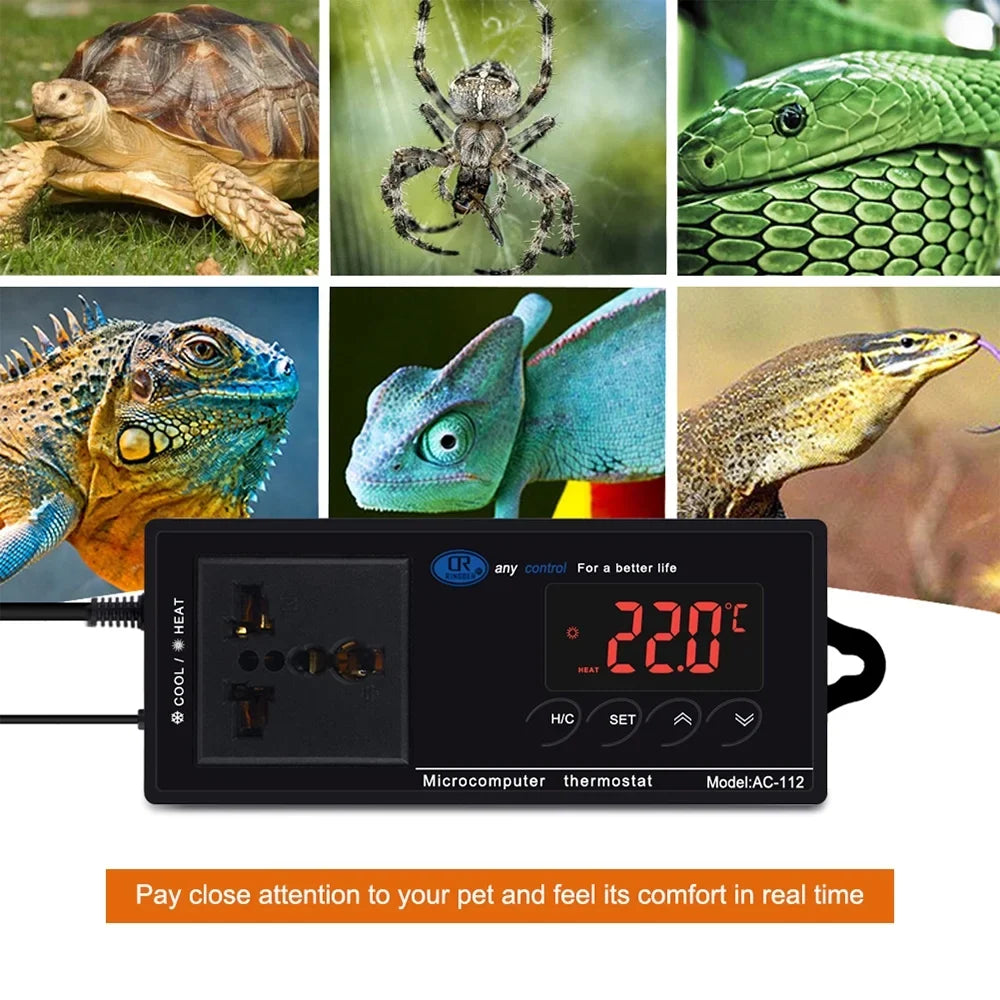 Mode Cooling Digital Brewing Heating Chest House Home & Temperature Controlled for Incubation Thermostat with Green Outlet Freezer Plug Reptile Thermostat Reptiles Carevas Controller -40℃~110℃