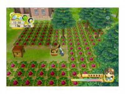 Wii - Moon Tree Tranquility of Harvest